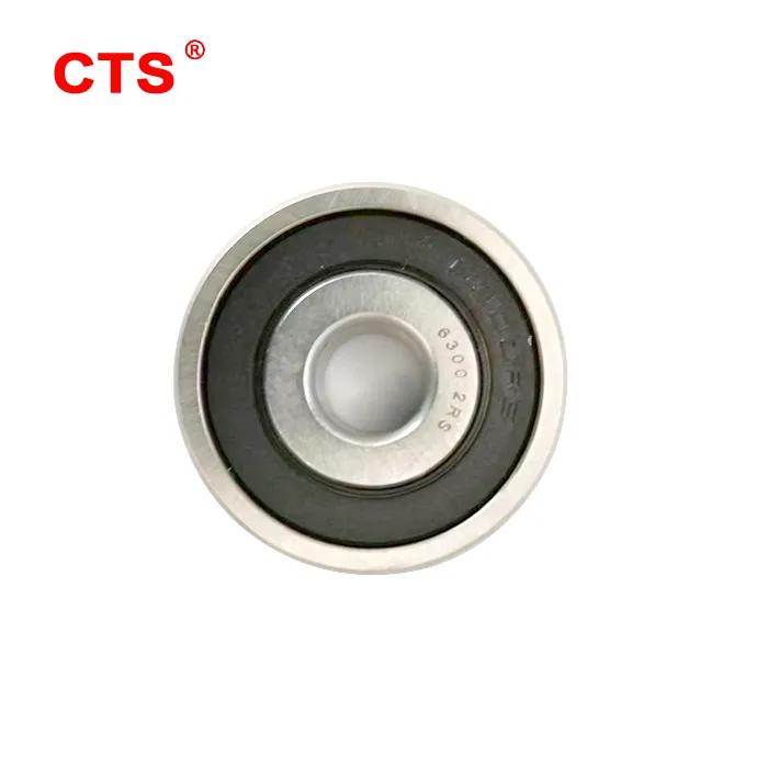 Ball Bearing 6000 2RS