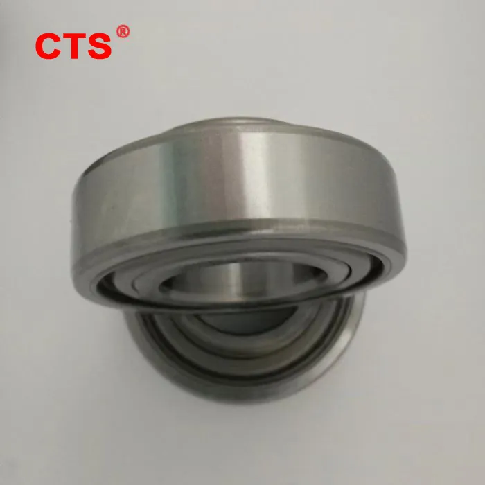 Ball Bearings with Eccentric Collar